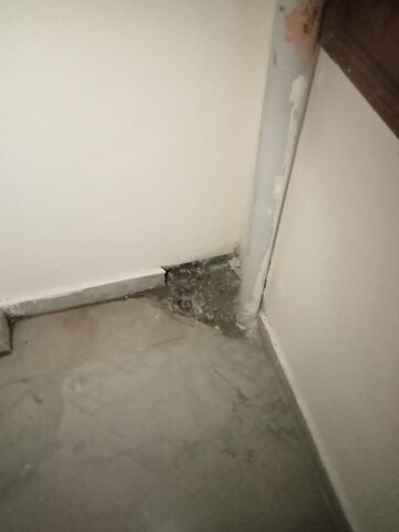 2 BHK Builder Floor For Rent in Hargobind Enclave