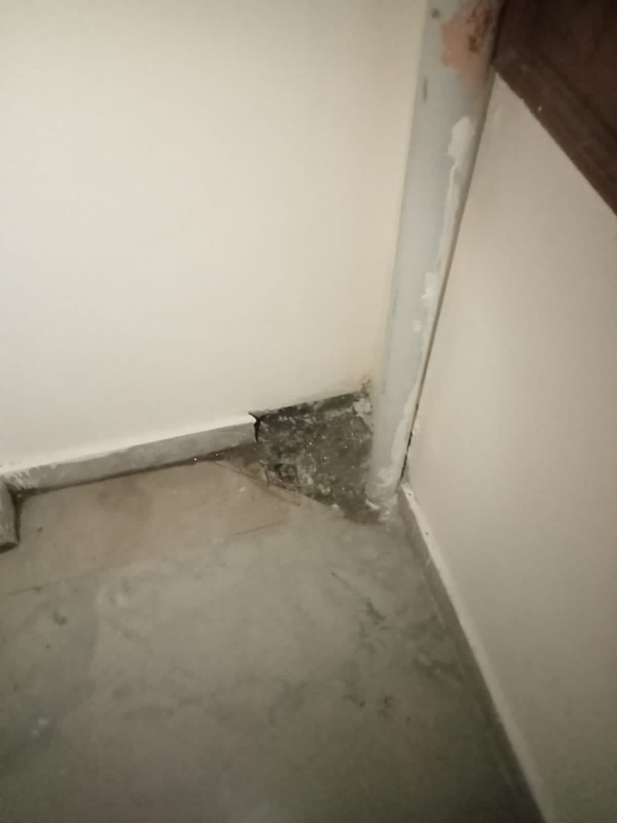 2 BHK Builder Floor For Rent in Chattarpur 