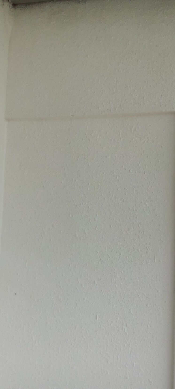 Room, parker-white-lily 3 Bedroom 1750 Sq.Ft. Apartment In Sector 8 Sonipat 8789734