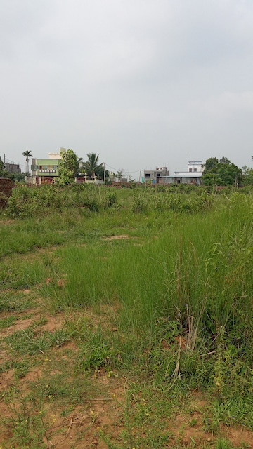 Plot Area in  Plot at Tamando – for Sale