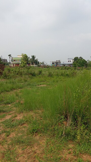 Plot Area in  Plot at Tamando – for Sale