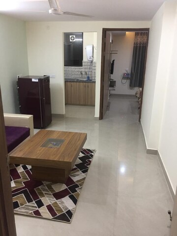 Living Room in 1 RK Apartment at Gupta Awas, Sector 43 – for Rent