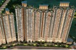 3 BHK 728 Sq.Ft. Apartment in Signature Global Golf Greens