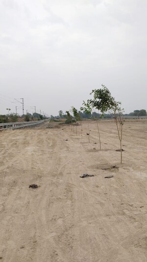 Plot Area in  Plot at Raebareli Road – for Sale