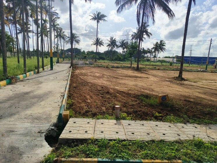 undefined, vijaya vittala nagar  1200 Sq.Ft. Plot In Vijaya Vittala Nagar Bangalore 8790268