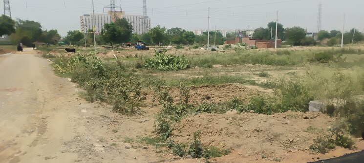 undefined, sector 80  160 Sq.Yd. Plot In Sector 80 Faridabad 8790601