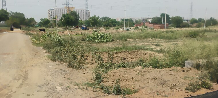undefined, sector 80  160 Sq.Yd. Plot In Sector 80 Faridabad 8790601