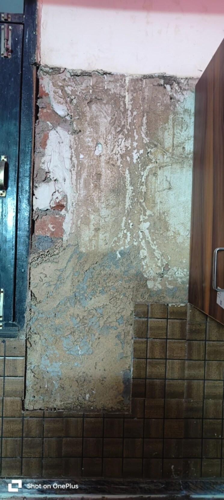 Bathroom, vasundhara sector 1 1 Bedroom 450 Sq.Ft. Builder Floor In Vasundhara Sector 1 Ghaziabad 8790607