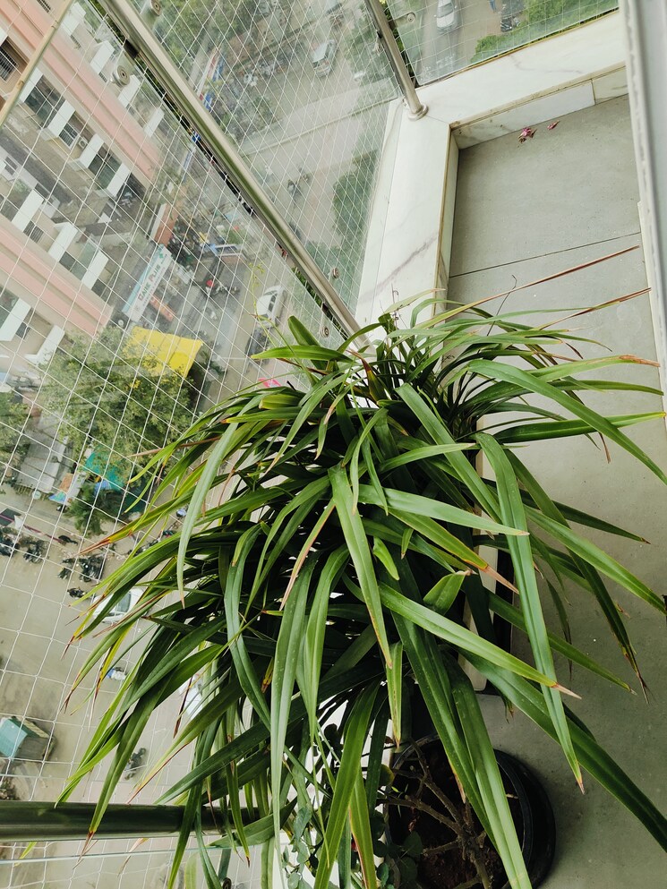 Balcony, skywards-riviera-valentina 4 Bedroom 3000 Sq.Ft. Apartment In Baner Pune 8790671