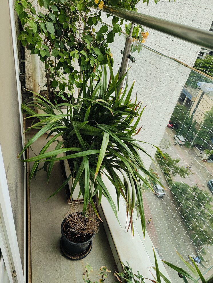 Balcony, skywards-riviera-valentina 4 Bedroom 3000 Sq.Ft. Apartment In Baner Pune 8790671