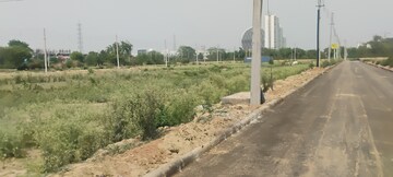 Plot Area in  Plot at Sector 80 – for Sale
