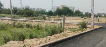 Plot Area in  Plot at Sector 80 – for Sale