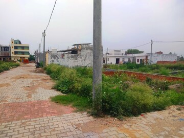 Plot Area in  Plot at Sector 137 – for Sale