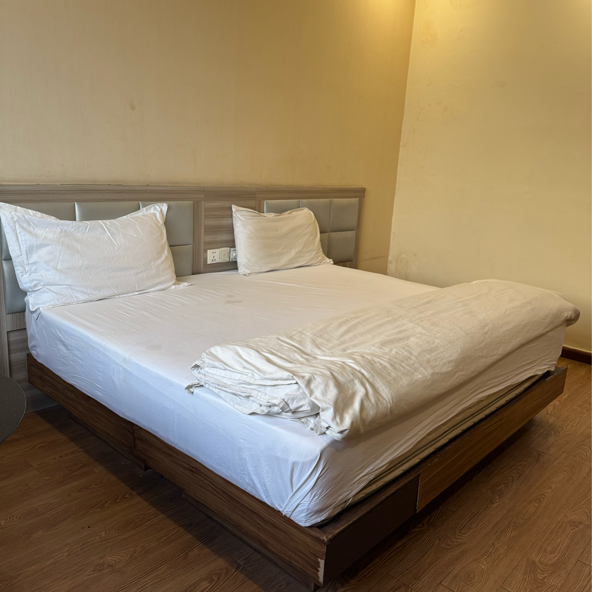 Pg For Rent in Modern Pg 