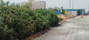  Plot – Exterior View View at Sector 80 - for Sale