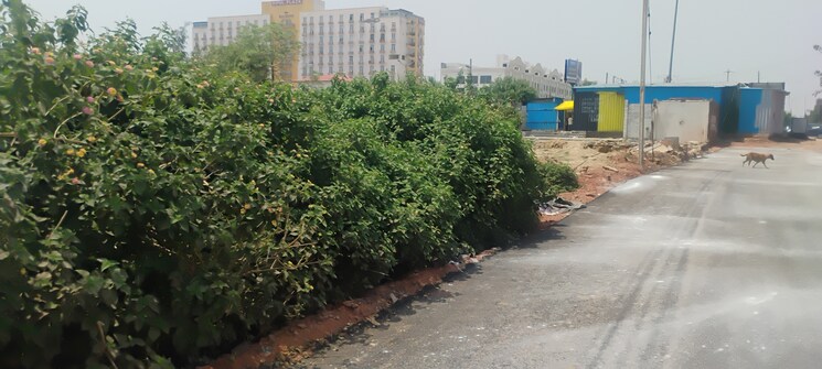 Exterior View, sector 80  250 Sq.Yd. Plot In Sector 80 Faridabad 8790779