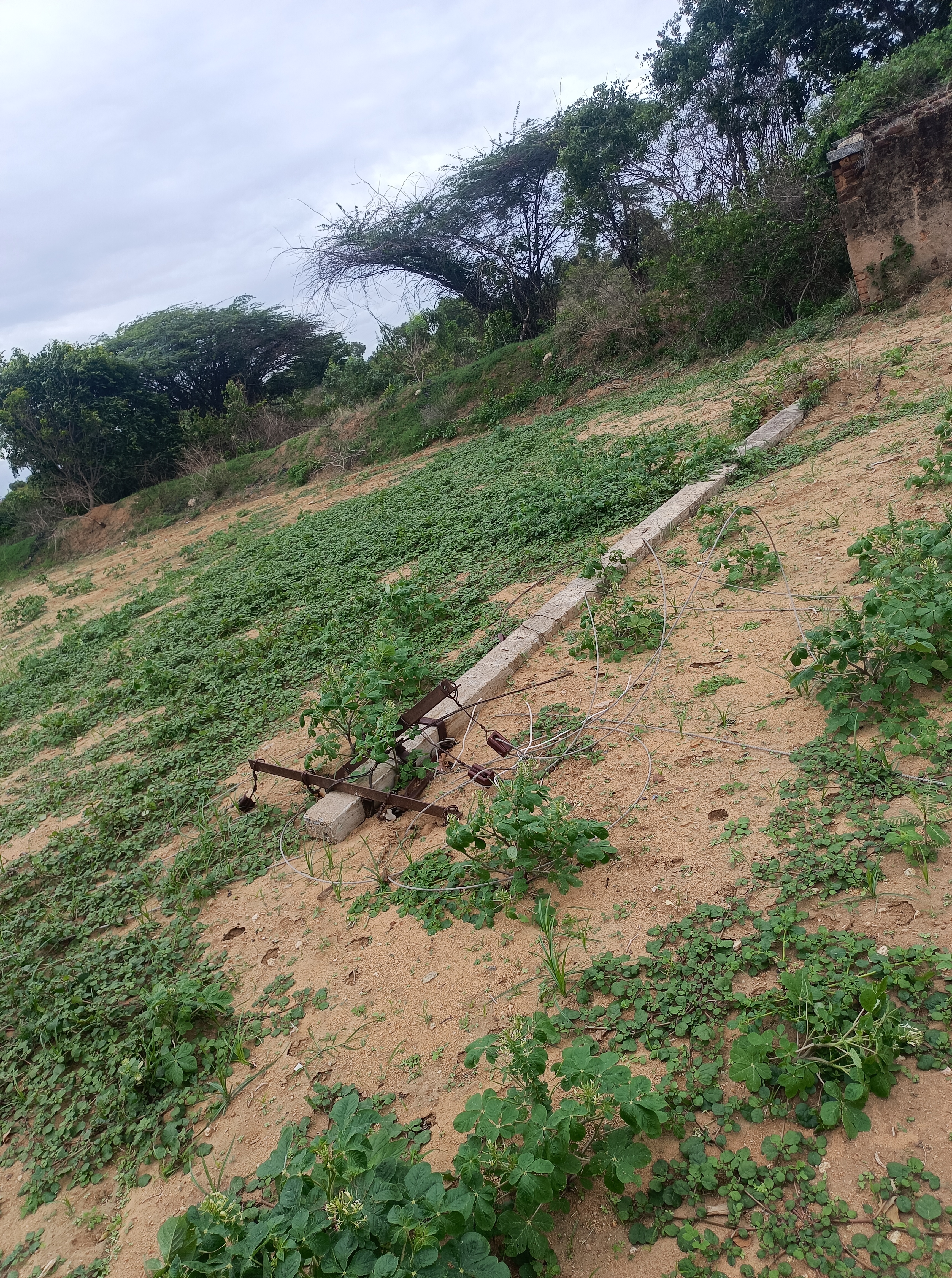 Plot For Sale in Plot 6033