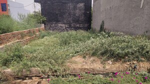 Plot Area in  Plot at Anand Niketan, Devla – for Sale