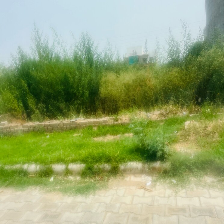 undefined, aerocity  232 Sq.Yd. Plot In Aerocity Mohali 8791111