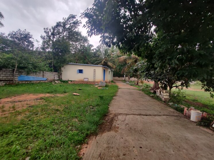 Exterior View, international airport road  20000 Sq.Ft. Plot In International Airport Road Bangalore 8791188