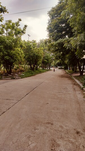 3 BHK Independent House For Sale in Scheme No 114