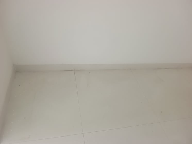 Room, adani-m2k-oyster-grande 3 Bedroom 1898 Sq.Ft. Apartment In Sector 102 Gurgaon 8791358