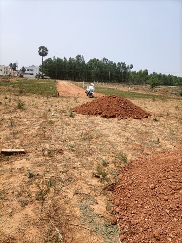  Plot For Sale in Sivani Towers, Atchutapuram