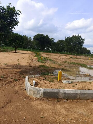  Plot For Sale in Sector 11