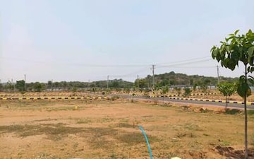 Plot For Sale in Panchkula Urban Estate