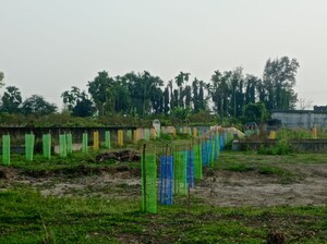 Plot Area in  Plot at Baruipur – for Sale