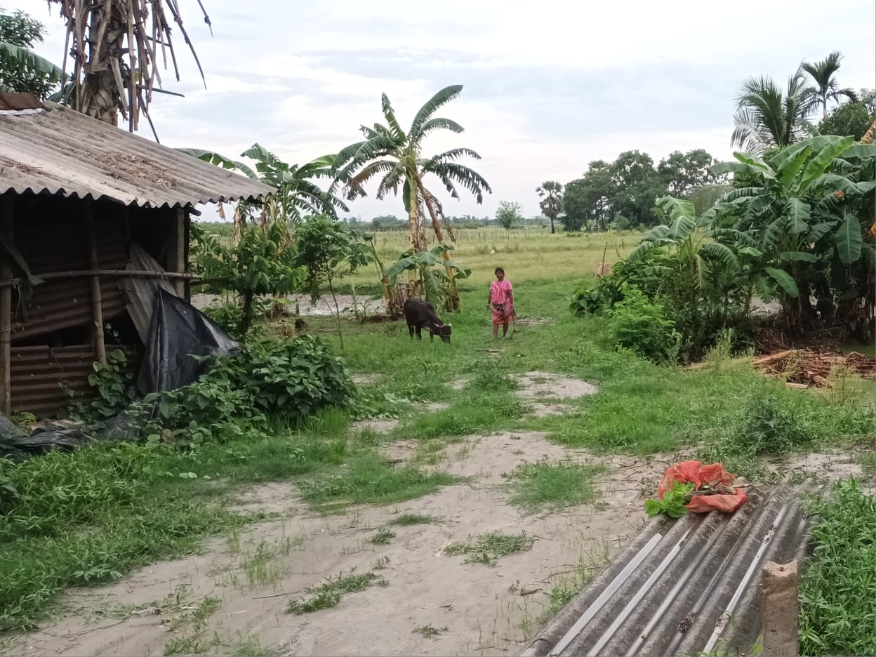 Plot For Sale in Plot In Piyali 