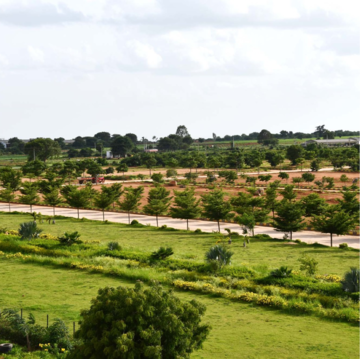  Plot – Garden View at Fortune Crystal, Amangal - for Sale