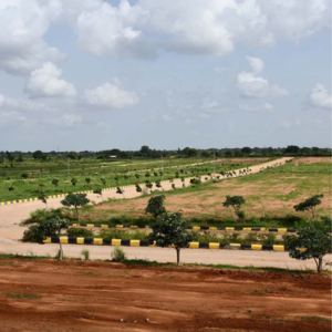Plot Area in  Plot at Fortune Crystal, Amangal – for Sale