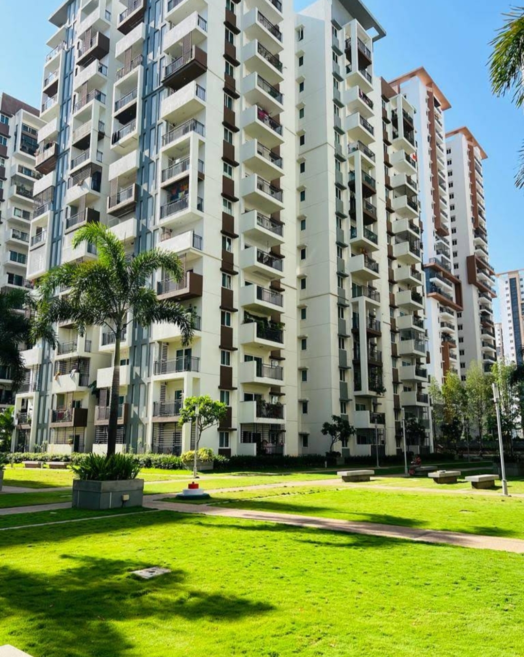 3 BHK 2660 Sq.Ft. Apartment in Aparna Sarovar Zenith