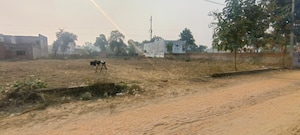 Plot Area in  Plot at  Sai City, Iim Road – for Sale