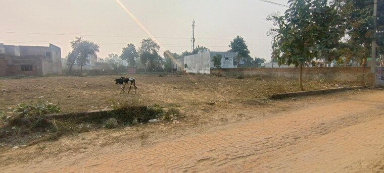 undefined, sai-city  1000 Sq.Ft. Plot In Iim Road Lucknow 8791912