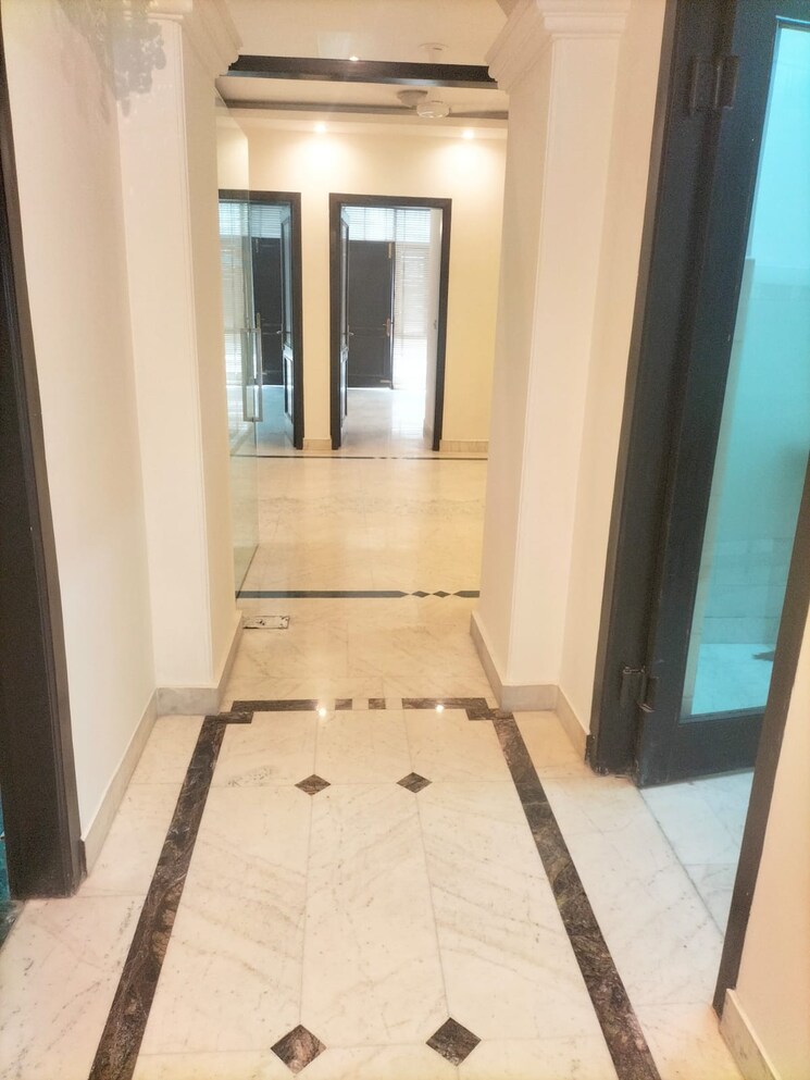 undefined, east-of-kailash-block-b-rwa 3 Bedroom 300 Sq.Yd. Builder Floor In East Of Kailash Delhi 8792170