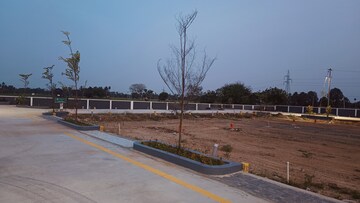 Plot Area in  Plot at Allithurai – for Sale