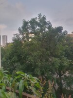 3 BHK + Study Room 1732 Sq.Ft. Apartment in Icon Windsor Residency