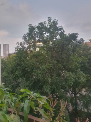 3 BHK Apartment For Sale in Icon Windsor Residency, Balewadi