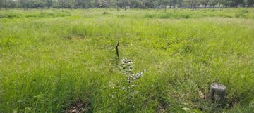  Plot For Sale in Kandlakoya