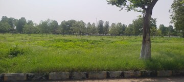 Plot Area in  Plot at Kandlakoya – for Sale