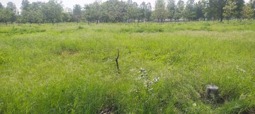 Plot Area in  Plot at Kandlakoya – for Sale
