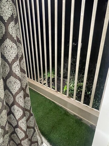 Balcony in 2 BHK Builder Floor at Rt Nagar – for Rent