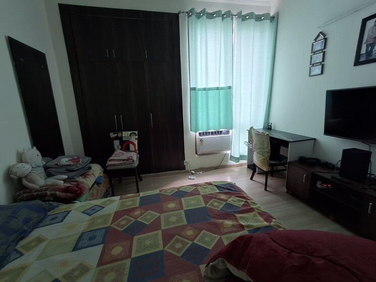 Living Room, pioneer-park-phase-1 2.5 Bedroom 1500 Sq.Ft. Apartment In Sector 61 Gurgaon 8792756