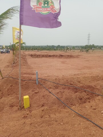 Plot Area in  Plot at Pedda Amberpet – for Sale
