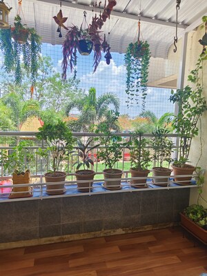 1 BHK Apartment – Garden View at NG Rathi Palm Nest, Wagholi - for Sale