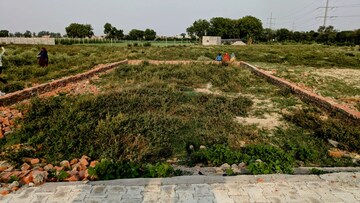 Plot Area in  Plot at Sector 137 – for Sale