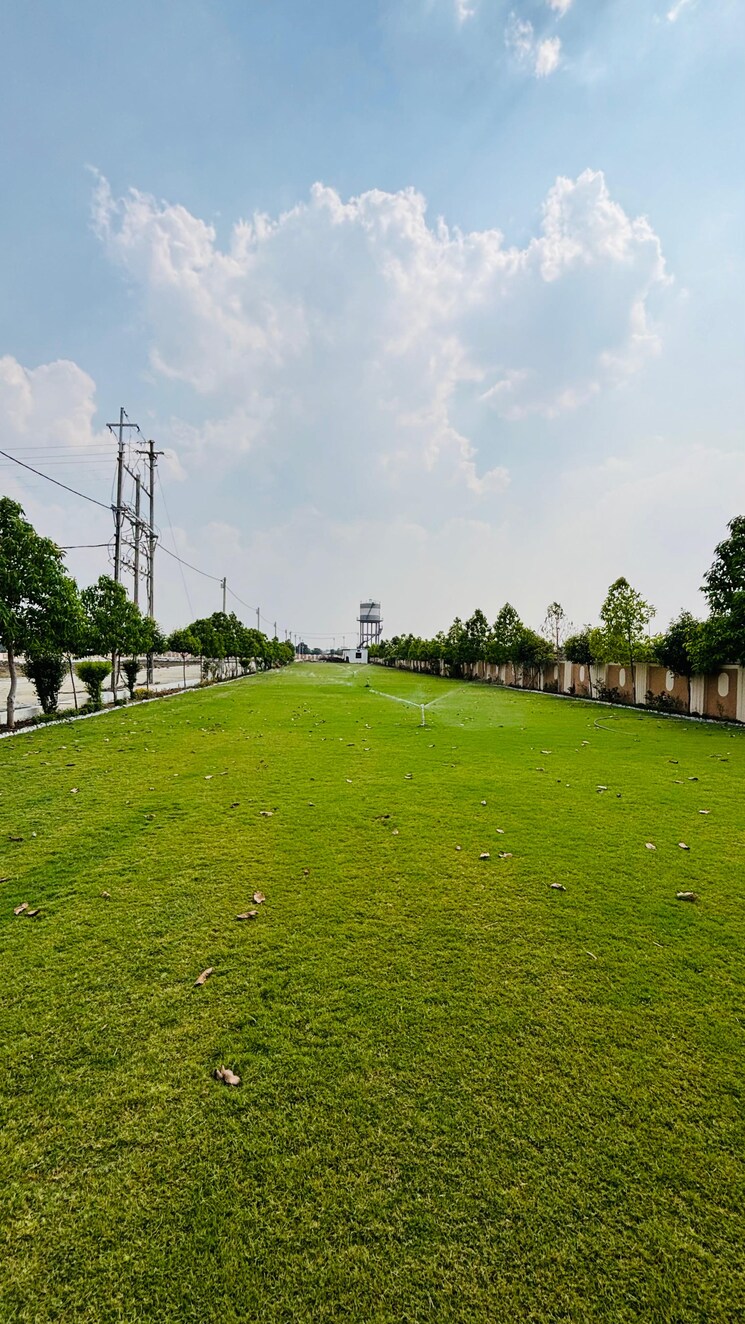 Garden, ringnodiya  650 Sq.Ft. Plot In Ringnodiya Indore 8793305