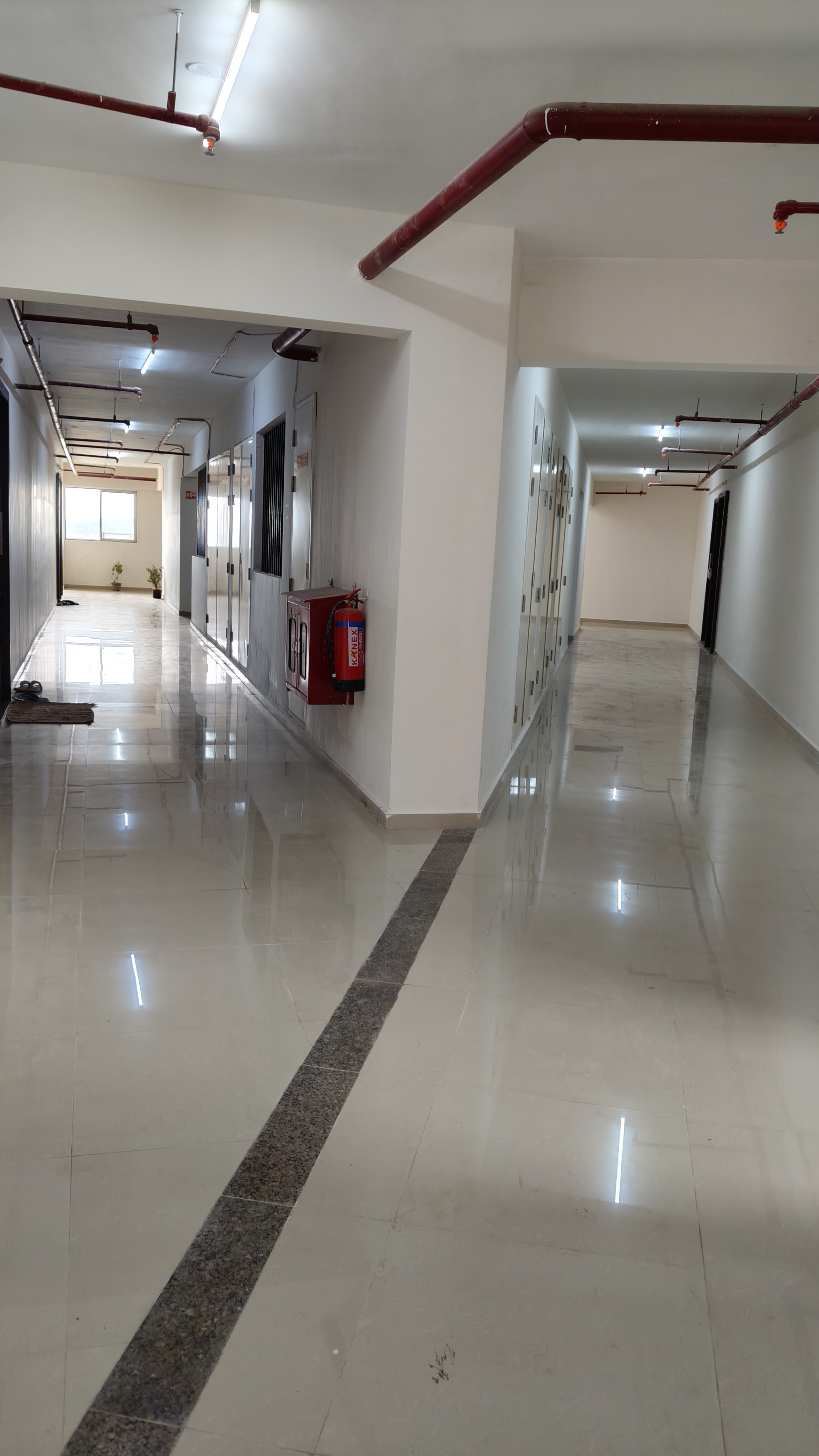 1 BHK Apartment For Rent in Satellite Garden